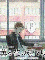 逆风飞翔